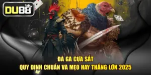 Đá Gà Cựa Sắt - Quy Định Chuẩn Và Mẹo Hay Thắng Lớn 2025
