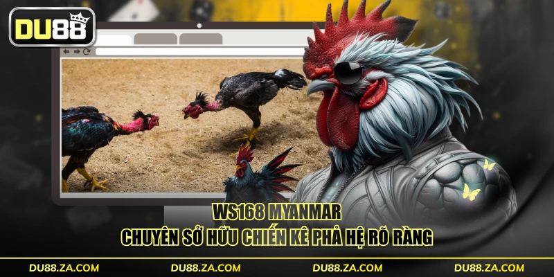 WS168 Myanmar chuyên sở hữu chiến kê phả hệ rõ ràng